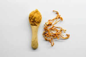 Pudră de extract de ciuperci Cordyceps Crește Libidoul Nutriționist